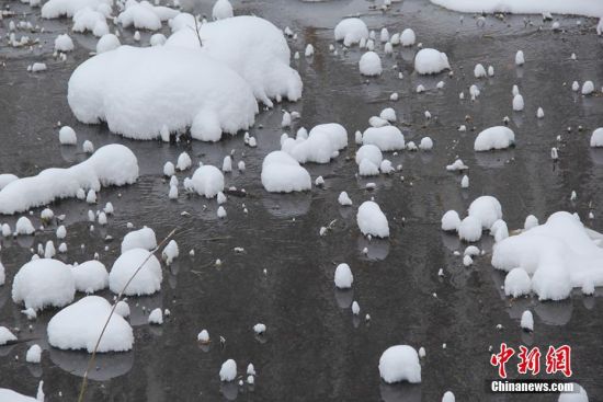 新疆 不冻泉 -43.5℃不结冰 清水穿越林海雪原_