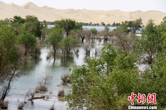 新疆将开建首个兵地融合创新型旅游示范景区