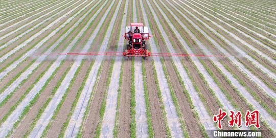 与传统植保机相比，“智能农机”具有喷药、施肥等多种功能，有效喷洒宽幅达19米。　杜炳勋 摄
