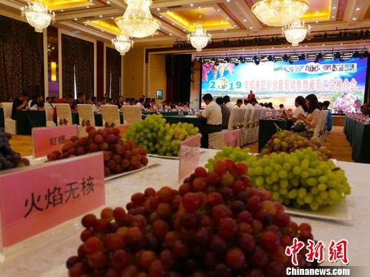 2019年鄯善县鲜食葡萄销售暨葡萄产品推介会，四个主要葡萄种植乡镇与海内外客商签订4份销售协议。　王小军 摄