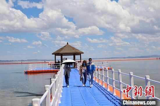 6月以来，本地游客逐渐增多，游客在巴里坤湿地畅游赏景。　达吾提·热夏提 摄