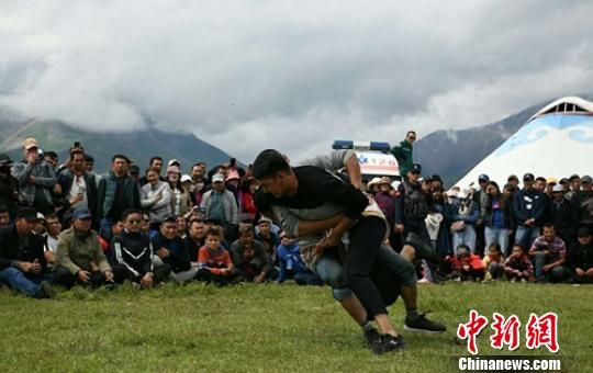 新疆大草原上演“摔跤”比赛 精彩刺激