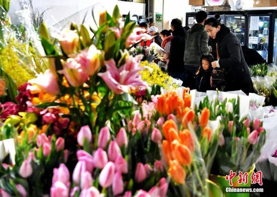 烏魯木齊民眾購置花卉裝扮居室為農歷春節添春意