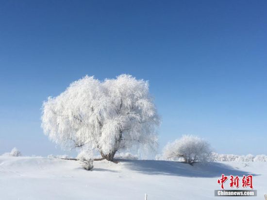 新疆北部富蕴县出现大面积雾凇美景