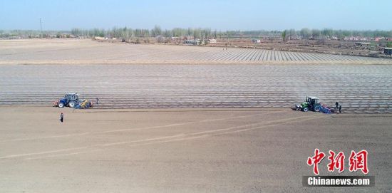 新疆阿克苏地区750万亩棉花全面开播