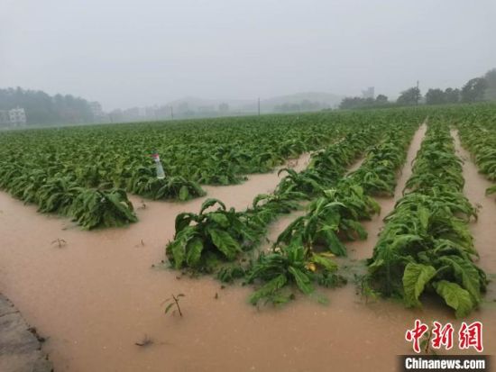 湖南江华县遭遇洪水袭击 16个乡镇超10万人受灾