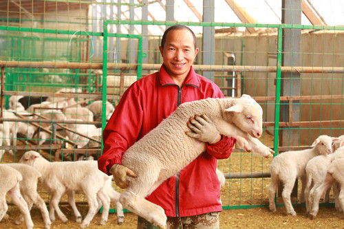唐承双和改良三代羊羔。