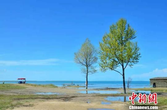 图为夏季的青海湖畔。（资料图）　鲁丹阳　摄