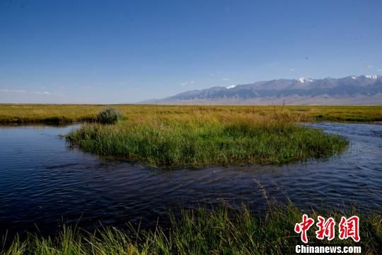 新疆巴里坤湿地秋色风光 美如画