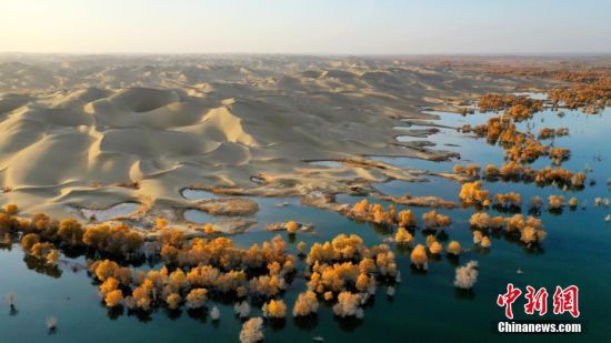 浩瀚的沙漠边缘有水有树成美景。李飞 摄