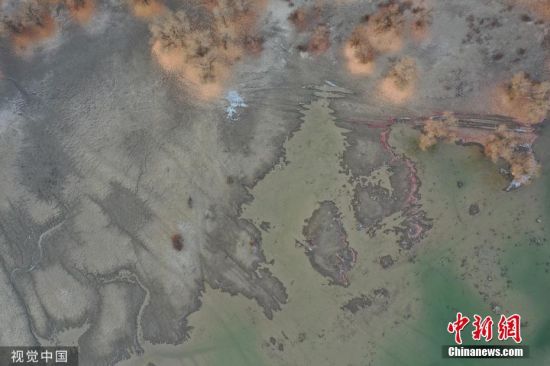11月27日，新疆巴州尉犁县，冬日里的尉犁罗布淖尔国家湿地公园色彩斑斓，水平如镜，景色迷人。薛兵 摄