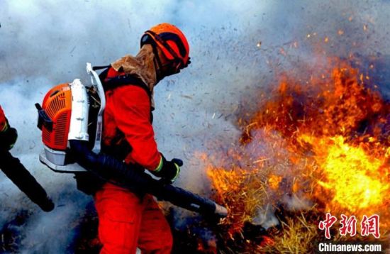 11日，新疆伊犁森林消防支队开展真人版“穿越火线”，春防练兵备战。　彭国华 摄