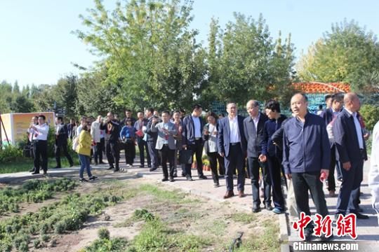 代表团在昌吉州调研国家农业科技园区新疆农业博览园。　陶拴科　摄