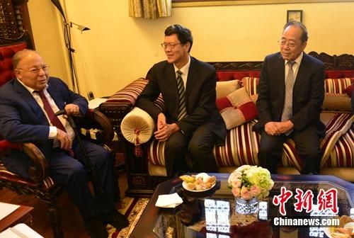 中国新疆文化交流团访问法国